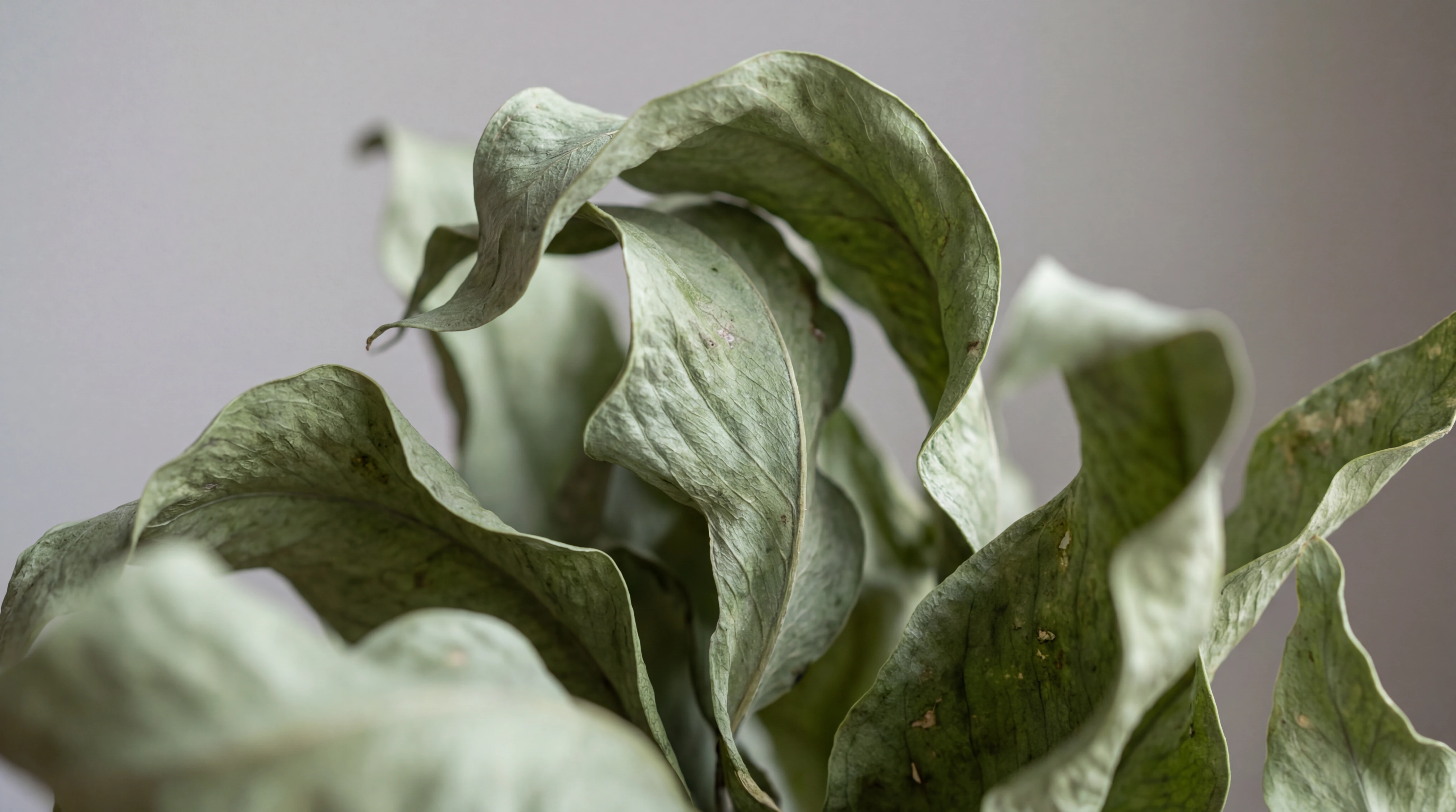 Science and precision